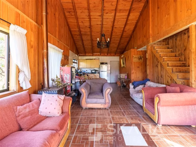 Campo en venta 34 hectareas. A solo 2,5 Km de Hualqui.