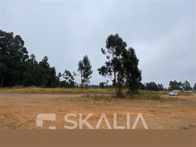 Terreno Construccion en arriendo en San Pedro de la Paz