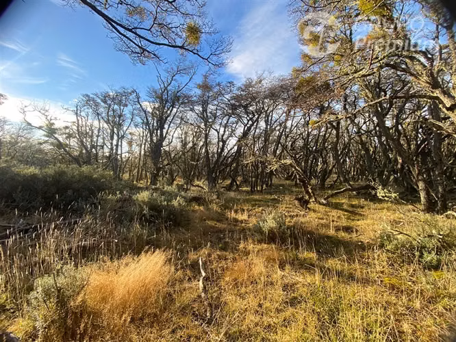 Parcela en venta en Punta Arenas - Imagen 2