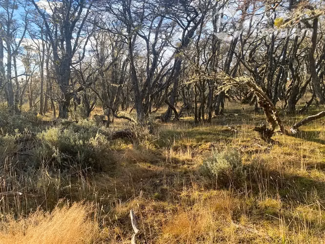 Parcela en venta en Punta Arenas - Imagen 3