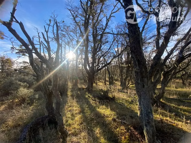 Parcela en venta en Punta Arenas - Imagen 10