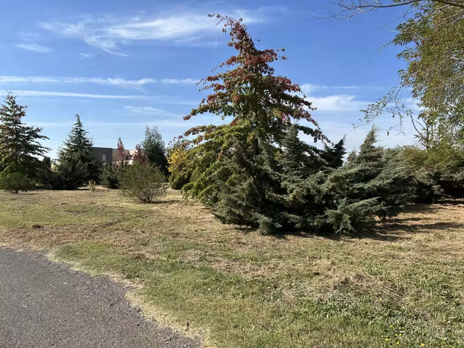 SE VENDE HERMOSO TERRENO  EN LOMAS DE 7 RIOS - Imagen 10