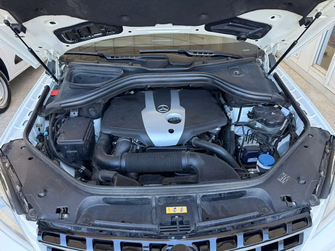 MERCEDES BENZ ML250