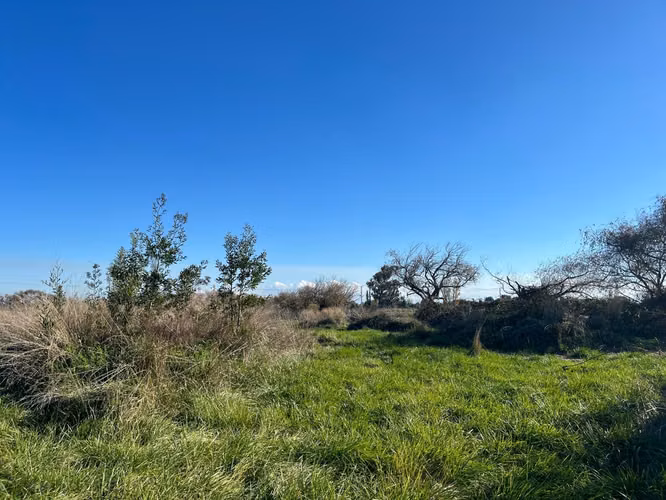 BELLA PARCELA DE 6.327 M2 A 5 MINUTOS DE LOS ÁNGELES - Imagen 21