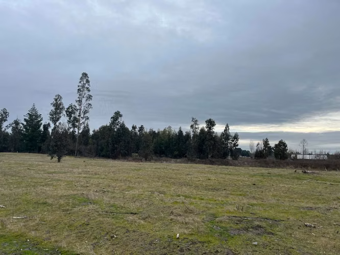 NATURALEZA IMPONENTE Y COMODIDAD URBANA CON ACCESO A RÍO - Imagen 17