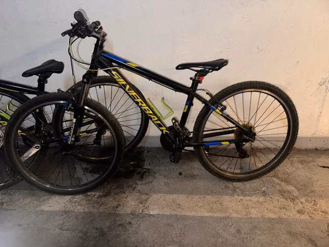 Bicicleta Silverback