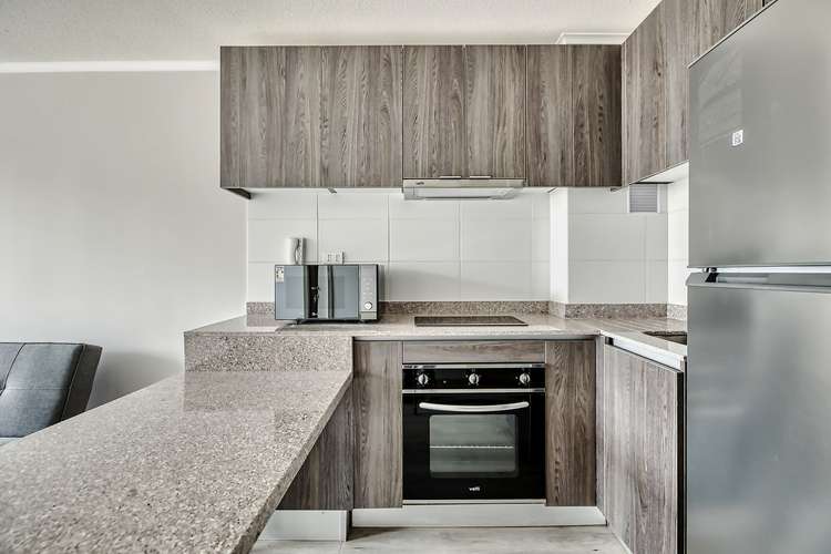 Vicuña Urban [1322-1]