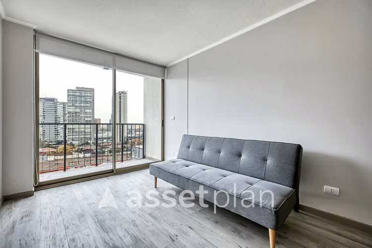 Vicuña Urban [1322-1] - Imagen 3