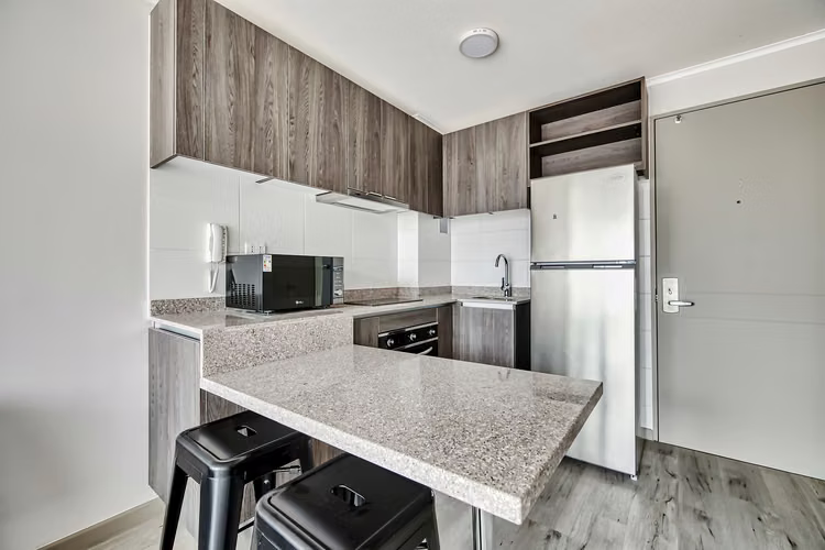 Vicuña Urban [1322-1] - Imagen 2