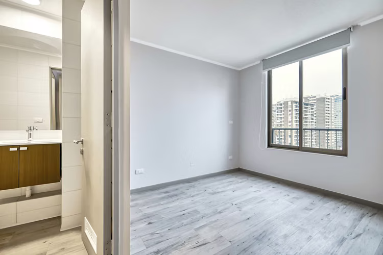 Vicuña Urban [1322-1] - Imagen 5