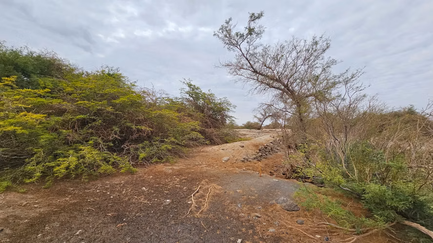Parcelas Km 25 - La Huayca - 5.000mt2 - Regularizadas