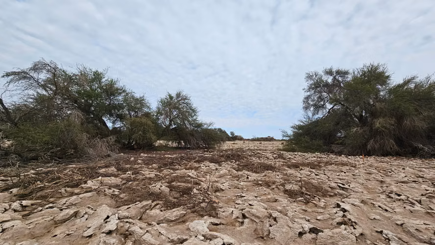 Parcelas Km 25 - La Huayca - 5.000mt2 - Regularizadas