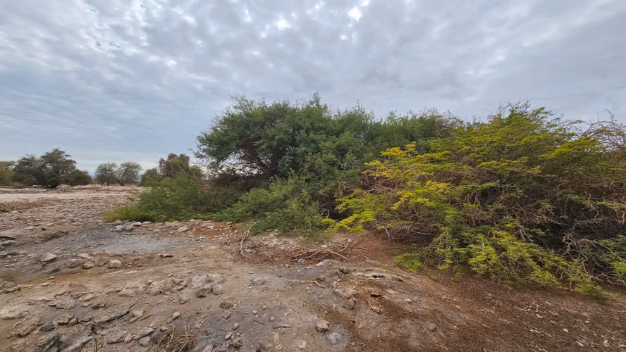 Parcelas - La Huayca - 5.000 mt2 - Regularizadas