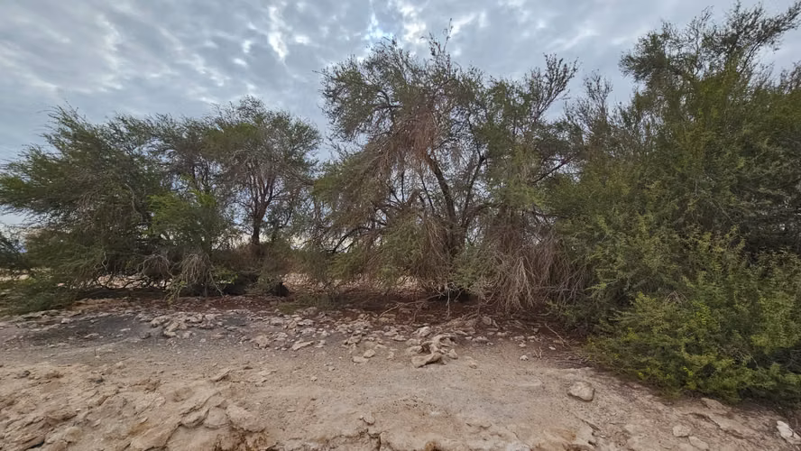 Parcelas - La Huayca - 5.000 mt2 - Regularizadas