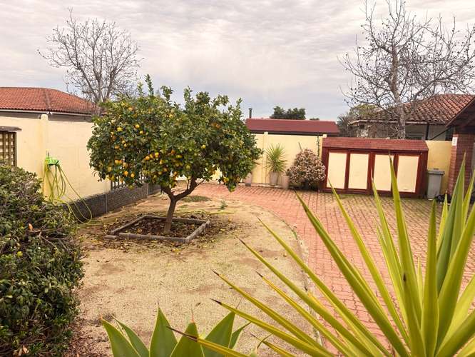 OLMUÉ VENDO HERMOSA CASA DE 1 PISO - Imagen 4