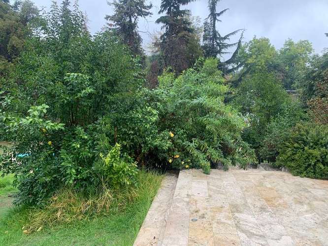 Terreno de 2.857 m2 con casa (111183) - Imagen 19