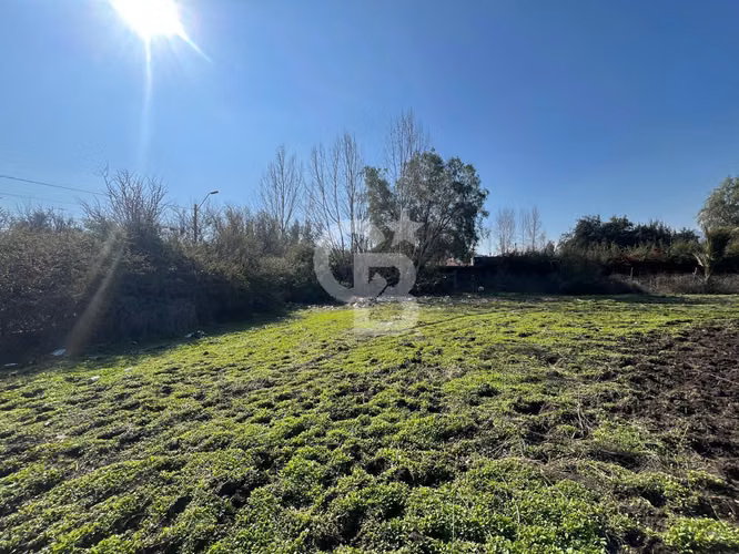 Sitio | Chicureo Centro | Sector Los Ingleses - Imagen 8