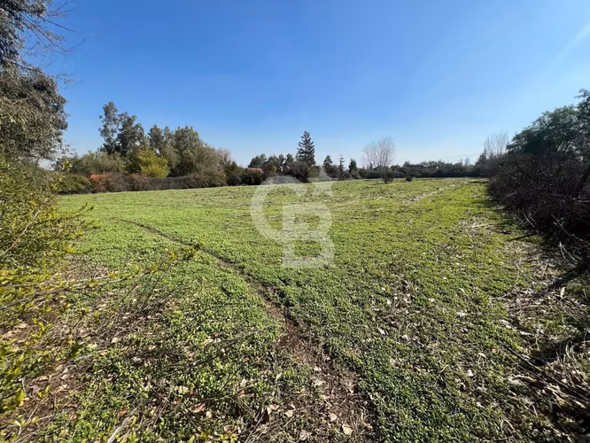Sitio | Chicureo Centro | Sector Los Ingleses - Imagen 4