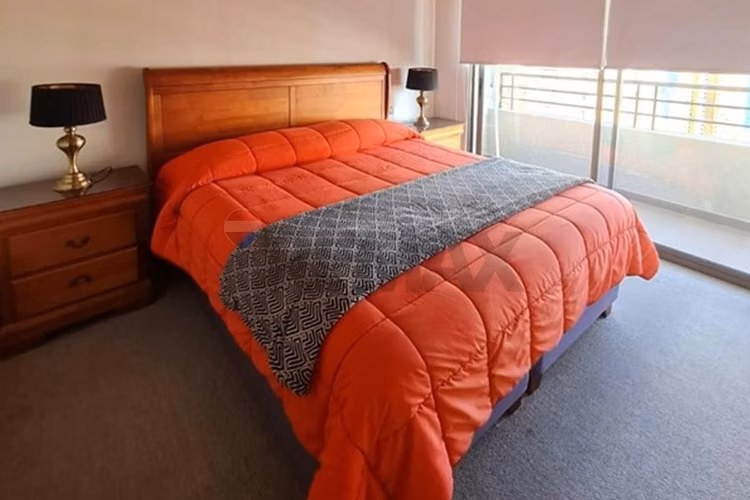 Arriendo depto mariposa amoblado parque brasil - Imagen 16