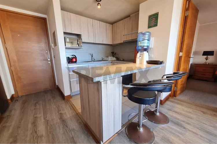 Arriendo depto mariposa amoblado parque brasil - Imagen 8
