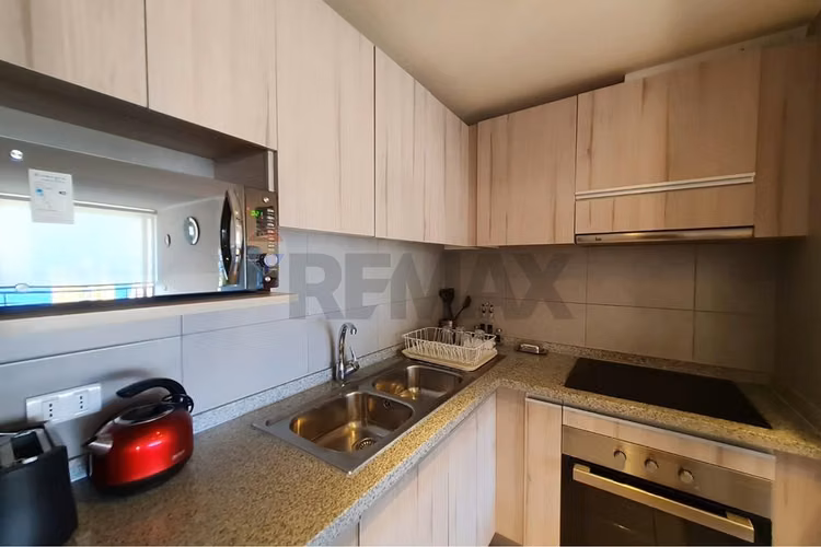 Arriendo depto mariposa amoblado parque brasil - Imagen 9