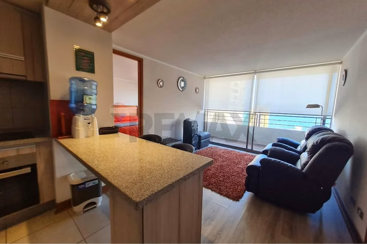 Arriendo depto mariposa amoblado parque brasil - Imagen 11