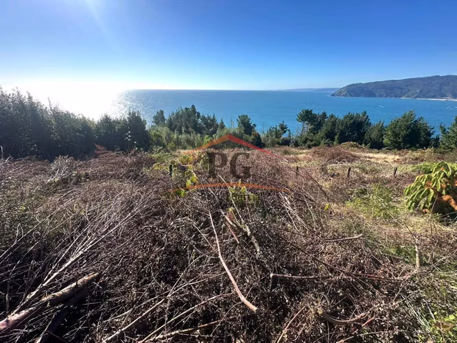 TERRENO CON VISTA AL MAR Y ACCESO CONTROLADO BONIFACIO - Imagen 8