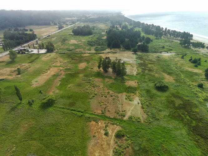 VENTA 9 HA IDEAL PROYECTO INMOBILIARIO, ARAUCO, BIO BIO