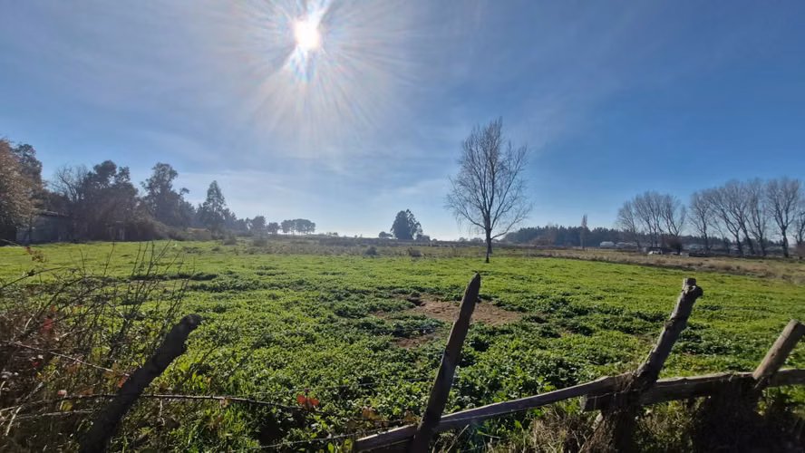 VENTA 9 HA IDEAL PROYECTO INMOBILIARIO, ARAUCO, BIO BIO