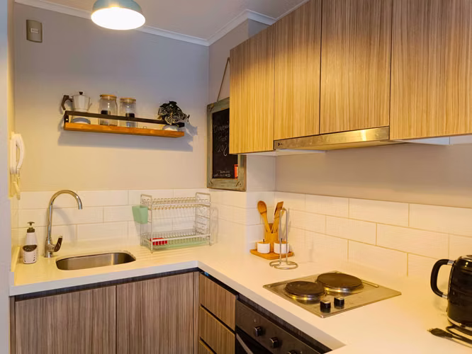 Hermoso departamento dos ambientes en Pucón (181045)