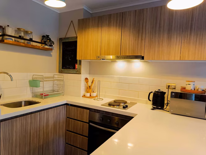 Hermoso departamento dos ambientes en Pucón (181045)