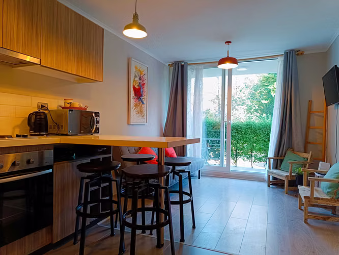 Hermoso departamento dos ambientes en Pucón (181045)