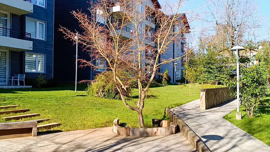 Hermoso departamento dos ambientes en Pucón (181045)