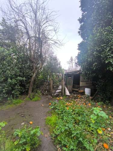 casa  ideal para invercionista giro comercial a paso de mercado de Chillan