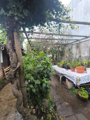 casa  ideal para invercionista giro comercial a paso de mercado de Chillan