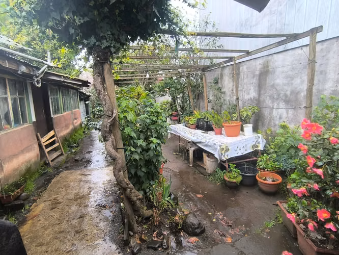 casa  ideal para invercionista giro comercial a paso de mercado de Chillan - Imagen 14