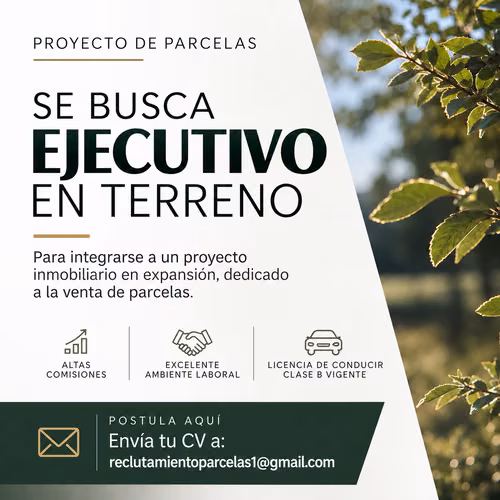 Ejecutivo en Terreno – Venta de Parcelas