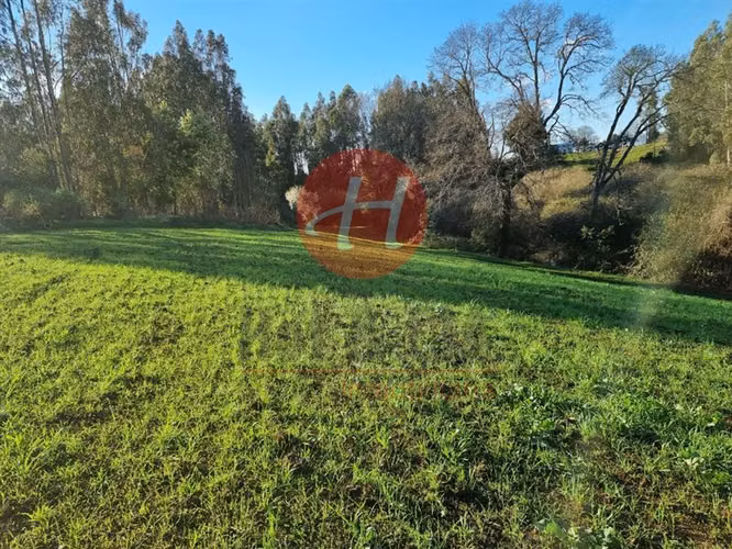 Parcela en venta en Temuco 1,9 hectáreas en Tromen, Temuco. - Imagen 3