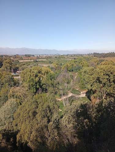 PARCELA PLANA en San Francisco  de Mostazal
