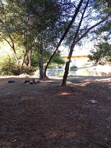 PARCELA PLANA en San Francisco  de Mostazal