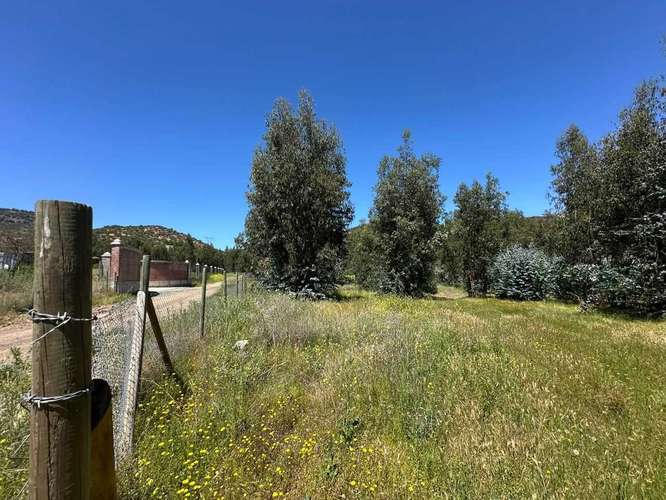 PARCELA PLANA en San Francisco  de Mostazal