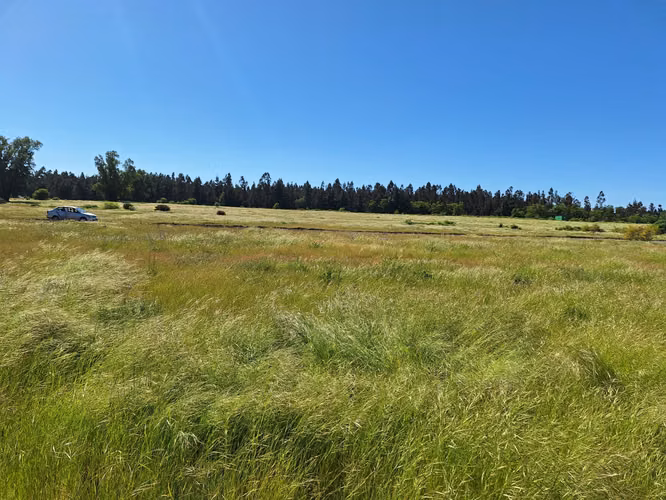 PARCELAS AGRORESIDENCIALES DE 5.000 M2 A 5 MINUTOS DE LOS ÁNGELES - Imagen 14