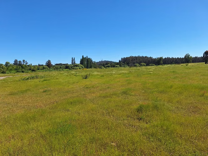 PARCELAS AGRORESIDENCIALES DE 5.000 M2 A 5 MINUTOS DE LOS ÁNGELES - Imagen 9