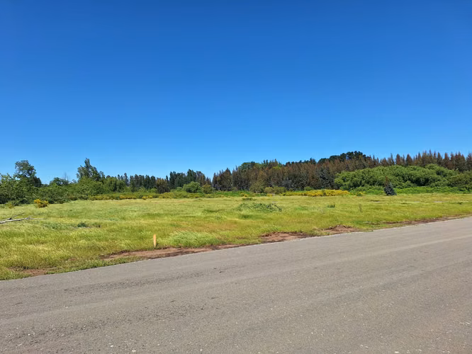 PARCELAS AGRORESIDENCIALES DE 5.000 M2 A 5 MINUTOS DE LOS ÁNGELES - Imagen 12