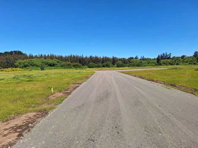 PARCELAS AGRORESIDENCIALES DE 5.000 M2 A 5 MINUTOS DE LOS ÁNGELES - Imagen 11