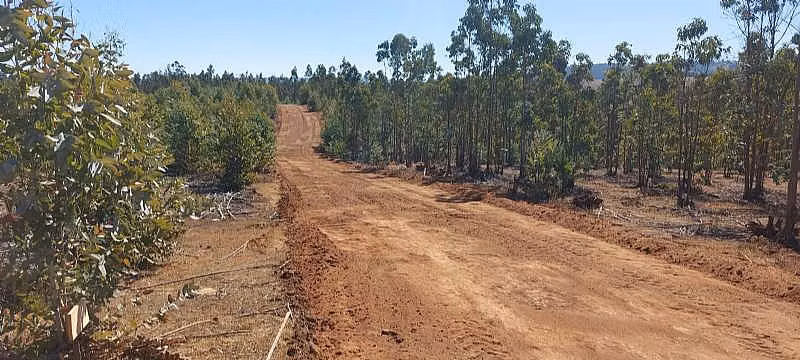 PARCELA EL PERAL A 25 MIN DE PLAYA. CARDENAL CARO,