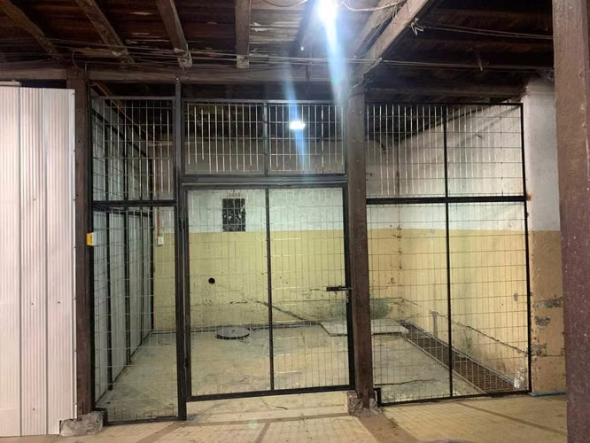Arriendo bodegas Avenida Las Torres  (181096)