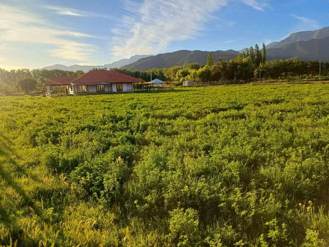 vendo casa en sector la california doñiue