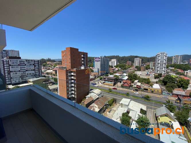 Departamento en arriendo en Centro de Concepción - Imagen 2