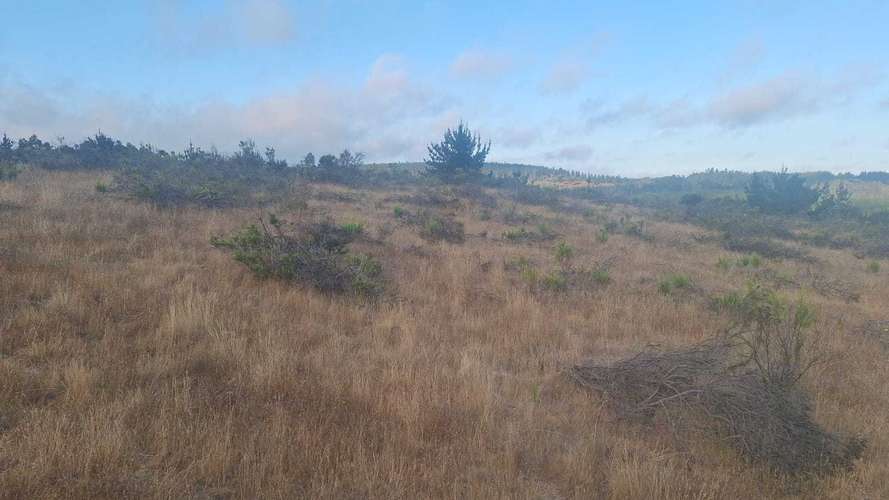 Espectacular Parcela de 53 héctares (181108)